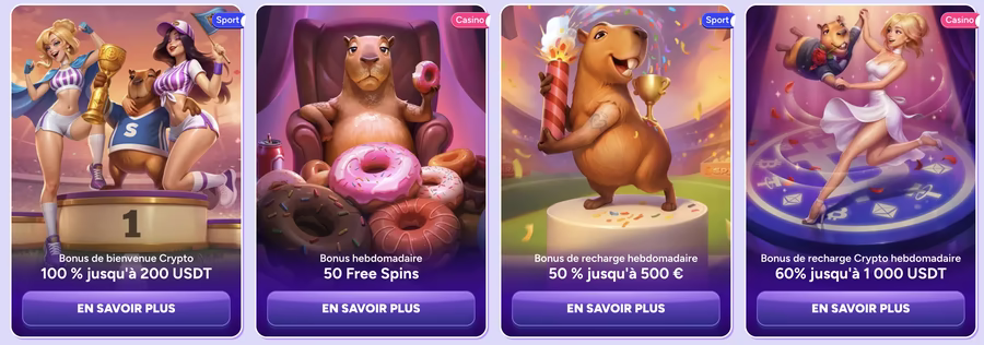 Fonctionnement Général et Interface de Spin Bara